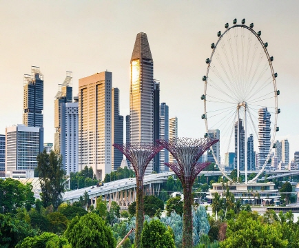 ������, �̰����� ũ����