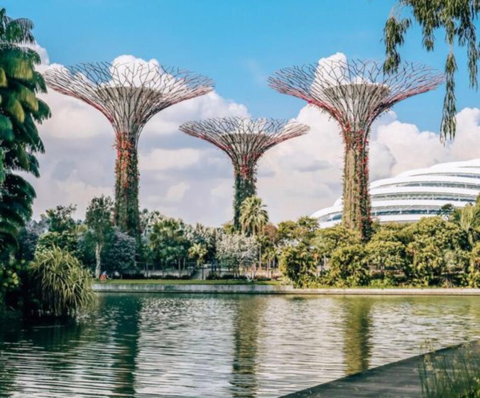 ������, �̰����� ũ����